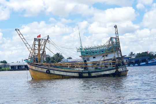 Cà Mau tập trung nguồn lực chống khai thác IUU