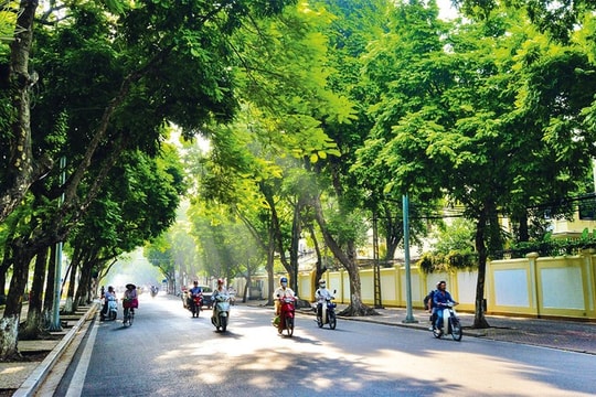 Dự báo thời tiết ngày 26/10: Miền Bắc rét khô, trưa chiều có nắng