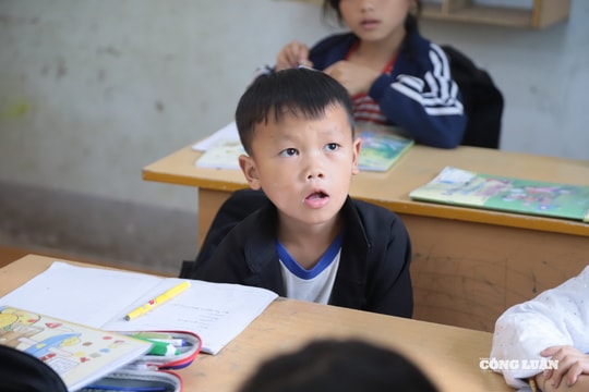 Luật không thể thay thế giáo dục, bởi bạo lực học đường là vấn đề nằm ngoài khuôn khổ pháp lý