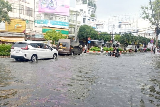 Cà Mau tập trung ứng phó với mưa lớn và triều cường