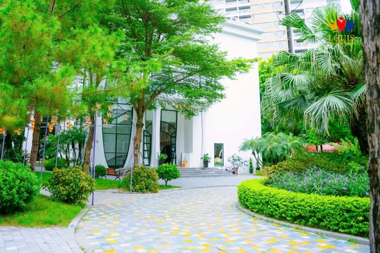 Louis Kindergarten – Hành trình 10 năm gieo mầm yêu thương, nuôi dưỡng những tâm hồn hạnh phúc