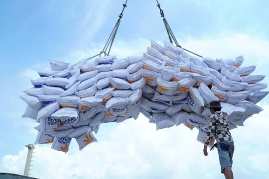 Thông qua nội dung Bản ghi nhớ hợp tác thương mại gạo Việt Nam – Singapore