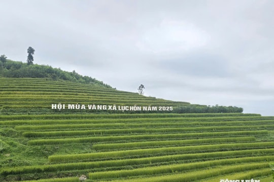 Hội Mùa vàng xã Lục Hồn: Khám phá ruộng bậc thang và trải nghiệm văn hóa Tày - Dao