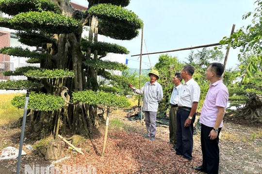 Ninh Bình: Hơn 213.000 hộ nghèo và đối tượng chính sách được thụ hưởng từ nguồn vốn tín dụng chính sách xã hội