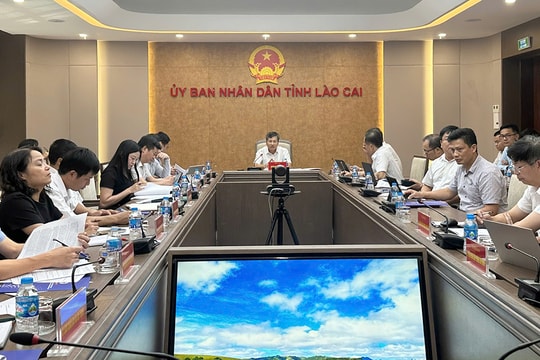 Tập trung nguồn lực, tháo gỡ những vướng mắc đẩy nhanh tiến độ các dự án truyền tải điện trọng điểm trên địa bàn Lào Cai