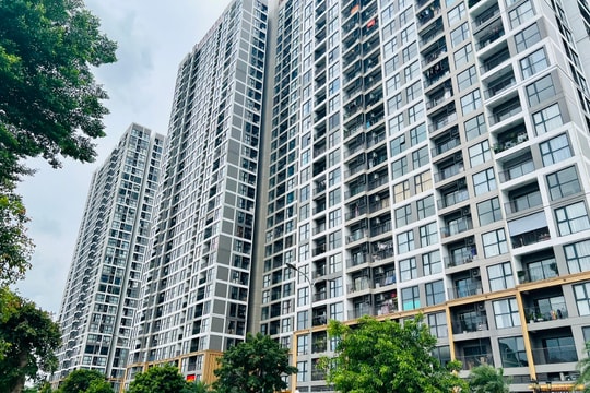 Giấc mơ mua nhà 'nuốt chửng' tương lai của thế hệ trẻ Việt