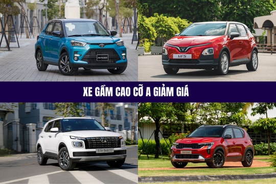 Loạt xe gầm cao cỡ A giảm giá, Suzuki Fronx đã khó càng thêm khó