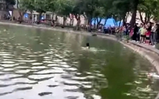 Hà Nội: UBND phường thông tin chính thức vụ người phụ nữ tử vong tại hồ Hoàn Kiếm