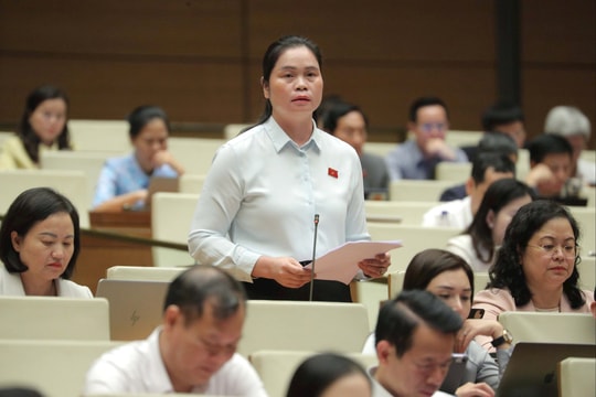 Cần cơ chế ưu đãi mạnh mẽ để thu hút đầu tư vào lĩnh vực thu gom, xử lý chất thải