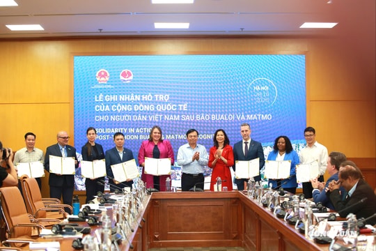 Việt Nam nhận hỗ trợ quốc tế gần 10 triệu USD sau bão Bualoi và Matmo