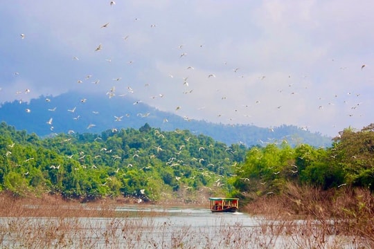 Vườn Quốc gia Vũ Quang: “Đánh thức” viên ngọc xanh giữa đại ngàn Trường Sơn