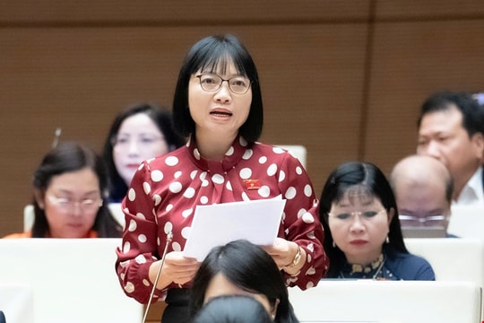 Đại biểu Quốc hội kiến nghị thành lập lực lượng Cứu trợ nhân dân để ứng phó thiên tai