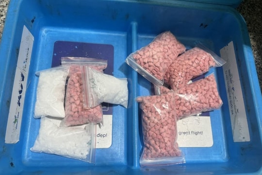 Chi cục Hải quan Khu vực II phát hiện và thu giữ hơn 12kg ma tuý các loại