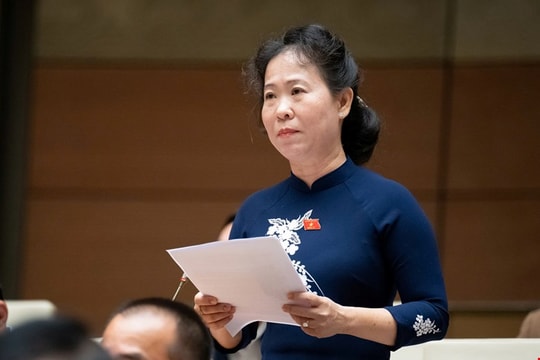 Cần ưu tiên đầu tư hạ tầng cho phòng, chống thiên tai và thích ứng khí hậu