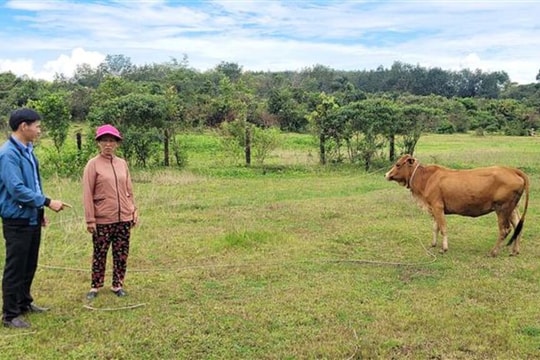 Gia Lai: Giảm nghèo thực chất – Xây dựng chính quyền phục vụ từ cơ sở