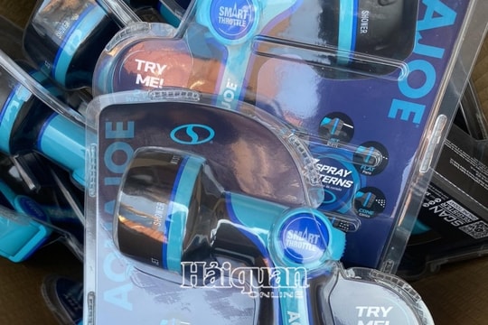 Chi cục Hải quan khu vực II phát hiện và xử phạt lô hàng giả mạo xuất xứ Việt Nam