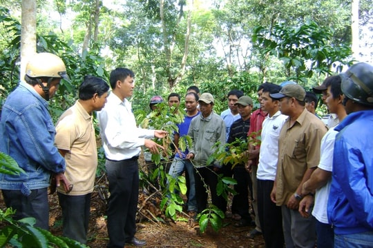Đào tạo nghề gắn với lợi thế của địa phương-  “chìa khóa” trong hành trình giảm nghèo
