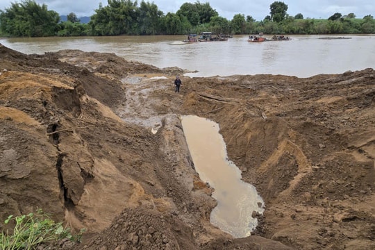 Gia Lai: “Xẻ thịt” sông Ayun để khai thác cây gỗ lạ