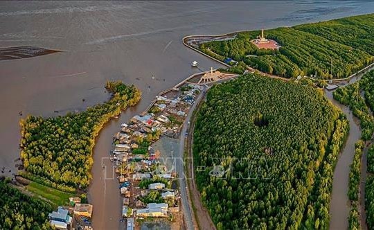 Kiểm toán môi trường: Trụ cột chiến lược vì phát triển bền vững