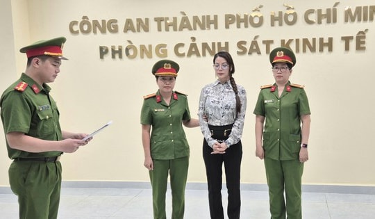 Vì sao diễn viên Trương Ngọc Ánh bị bắt?