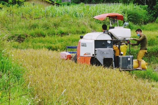 Quảng Ninh nâng cao hiệu quả các dự án giảm nghèo bền vững