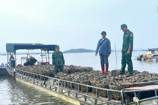 Quảng Ninh: Quyết liệt phòng chống buôn lậu và gian lận thương mại