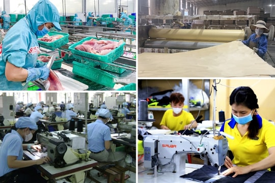 Góp ý cho Văn kiện Đại hội XIV: Đặt con người và pháp quyền làm trung tâm phát triển