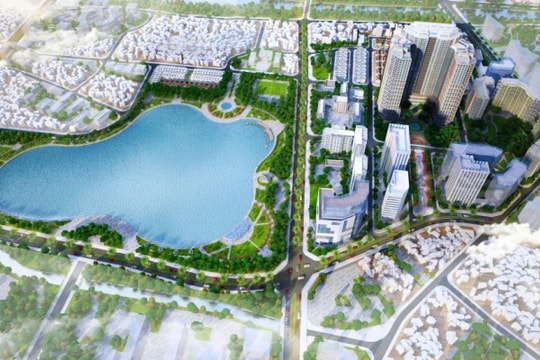 Phê duyệt tiến độ lựa chọn nhà đầu tư Dự án Khu đô thị Vibex