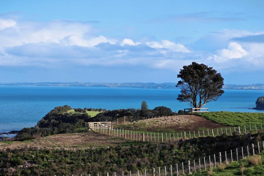 New Zealand miễn thị thực cho du khách Trung Quốc khi nhập cảnh từ Úc