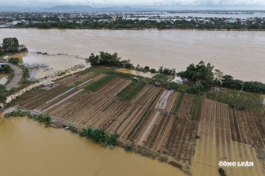 Làng hoa Phú Mậu (TP Huế): Khi sắc Xuân còn dang dở giữa dòng nước bạc