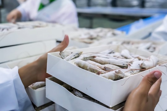 Đột phá công nghệ chế biến, bảo quản: Đòn bẩy giúp nông sản Việt "tăng tốc" đến chuỗi giá trị bền vững