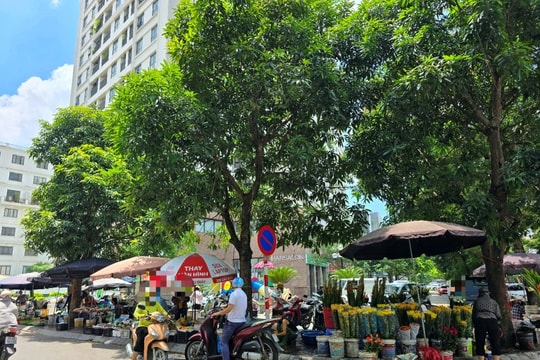 Hà Nội: Nhiều nguyên nhân khiến 'chợ cóc' vẫn tồn tại