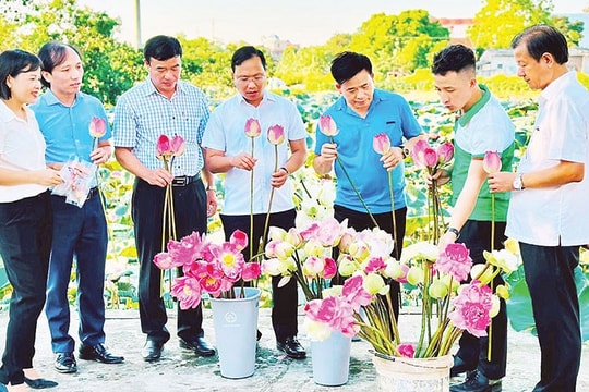 Ứng Hòa xây dựng miền quê bản sắc, xanh và thông minh