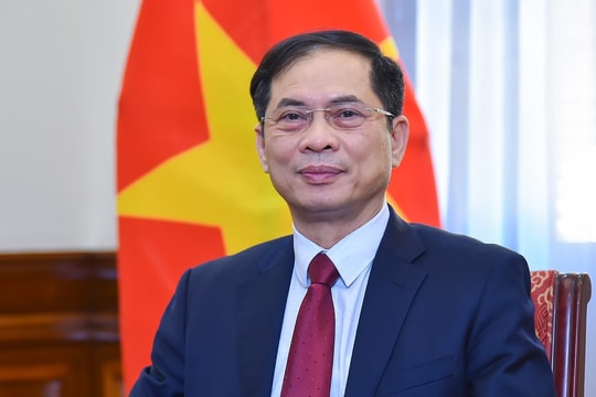 Phó Thủ tướng Chính phủ Bùi Thanh Sơn nhận thêm nhiệm vụ