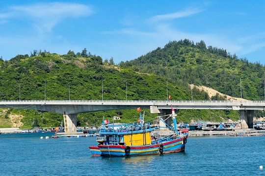 Gia Lai: Kêu gọi 83 tàu thuyền khẩn trương ra khỏi vùng nguy hiểm của bão Kalmaegi