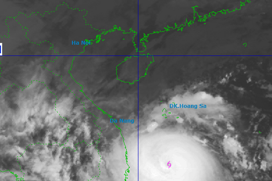 Bão số 13 giật cấp 17, còn cách Quy Nhơn hơn 300km