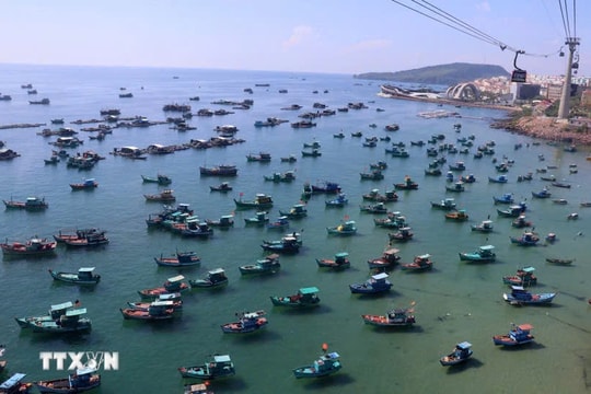 Gỡ “thẻ vàng” IUU: Mệnh lệnh quốc gia, vì danh dự đất nước, vì sinh kế ngư dân