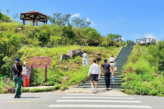 Đà Nẵng mở lại hai tuyến tham quan bán đảo Sơn Trà