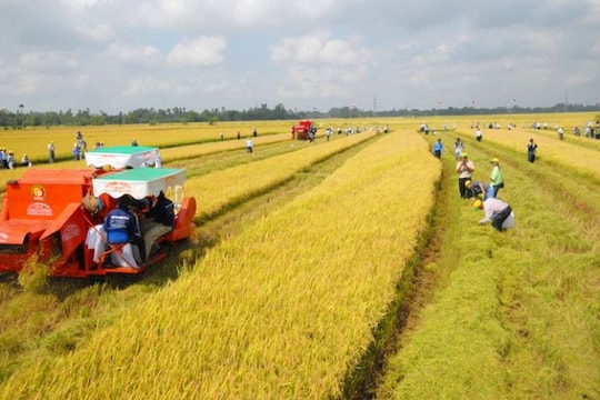 Các đối tượng được miễn thuế sử dụng đất nông nghiệp đến hết ngày 31/12/2030