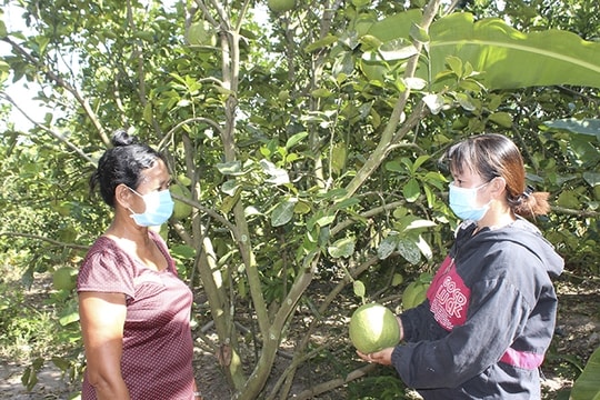 Khánh Hòa đặt mục tiêu giảm nghèo đa chiều xuống dưới 1% vào cuối năm 2025