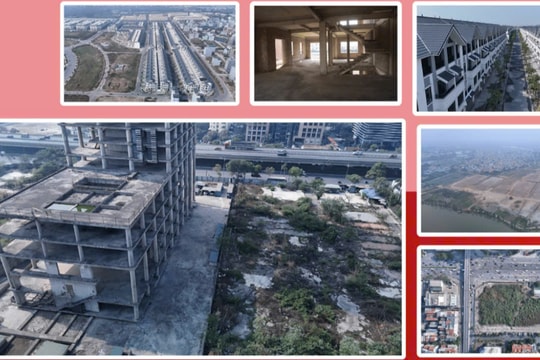 Câu chuyện những khu đất bỏ hoang - nỗi đau của sự lãng phí