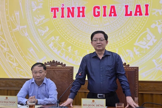 Phó Thủ tướng Hồ Quốc Dũng đề nghị tỉnh Gia Lai hỗ trợ bà con có nhà bị đổ sập, hư hỏng do bão Kalmaegi