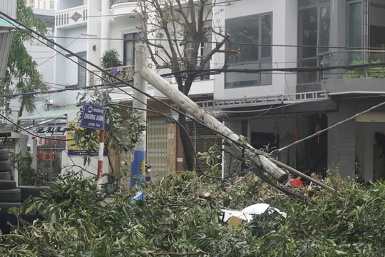 Gia Lai: Huy động tối đa lực lượng khôi phục hệ thống điện cho người dân sau bão