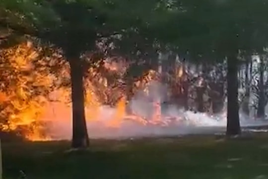 Cháy rừng nghiêm trọng, New Zealand điều thêm máy bay ứng phó