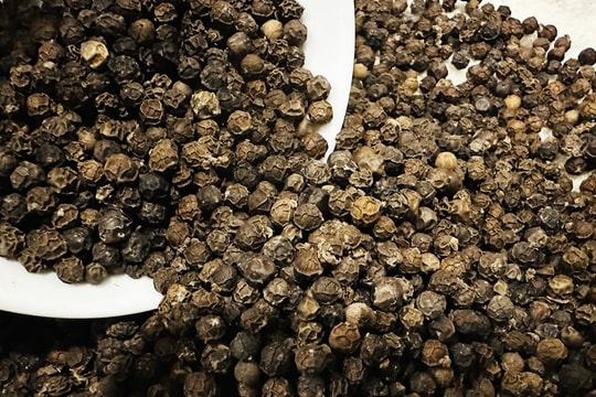 Giá tiêu hôm nay 11/11/2025: Duy trì mặt bằng cao, quốc tế nhích nhẹ