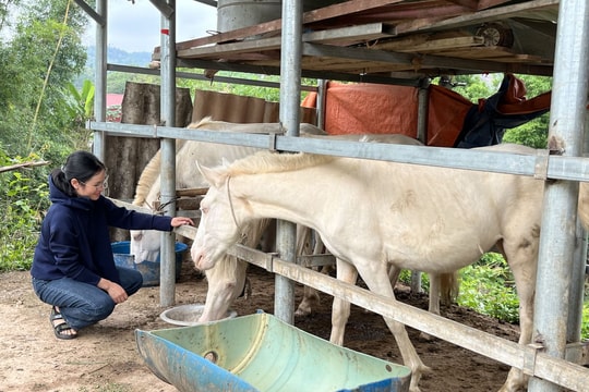 Lạng Sơn tăng tốc giảm nghèo, nỗ lực để “không ai bị bỏ lại phía sau”