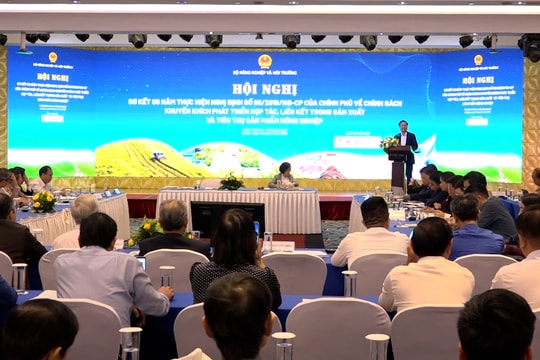 Sáu năm thực hiện Nghị định 98: Gắn kết “ba nhà” – Kiến tạo nền nông nghiệp bền vững