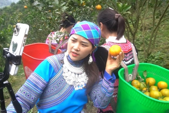 Ứng dụng công nghệ cao, chuyển đổi số để giảm nghèo bền vững và xây dựng cộng đồng hạnh phúc