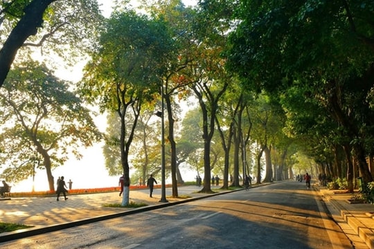 Dự báo thời tiết ngày 13/11: Bắc Bộ sắp đón không khí lạnh tăng cường