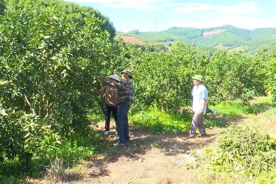 Hà Tĩnh tăng tốc giảm nghèo bền vững